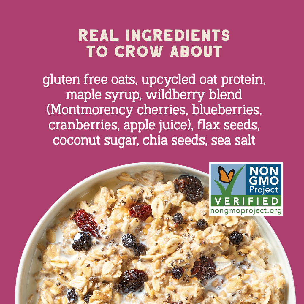 Wildberry Protein Oats, 32oz