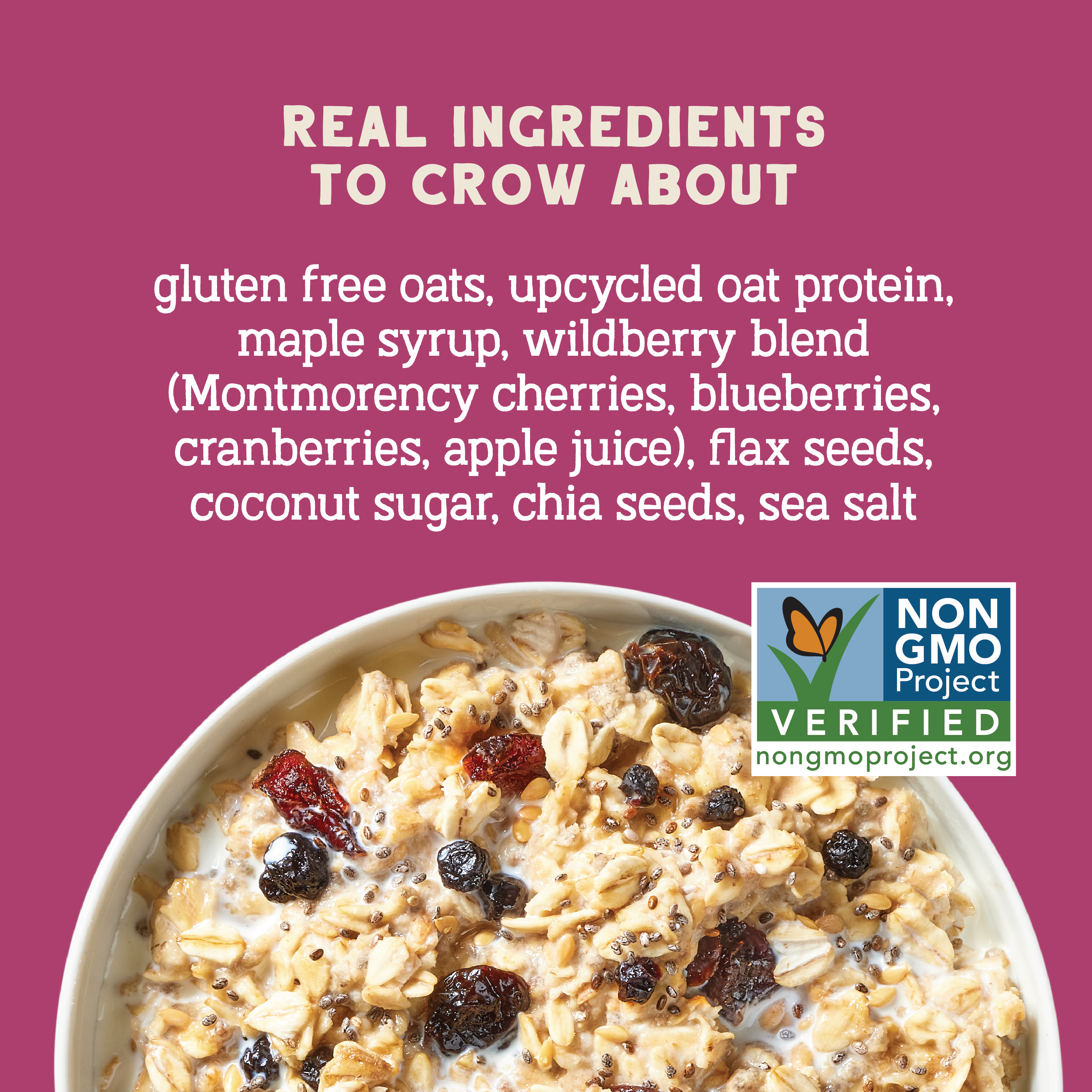 Wildberry Protein Oats, 32oz