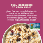 Wildberry Protein Oats, 16oz