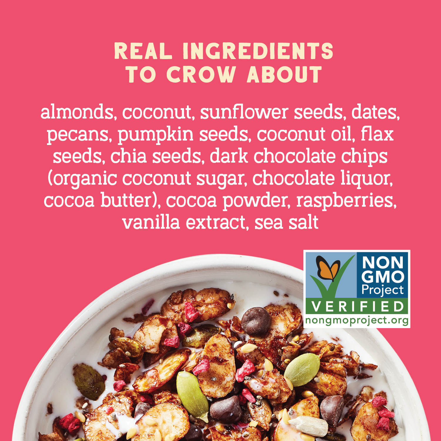 Day Dream Chocolate Raspberry Grain-Free Granola, 8oz