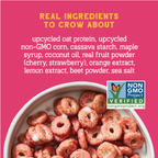 Super Fruity Oat Protein Cereal