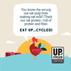 Apple Cinnamon Protein Oats, 16oz