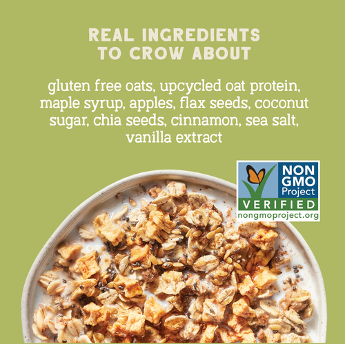 Apple Cinnamon Protein Oats, 16oz
