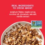 Cinnamon Toast Little Crispies