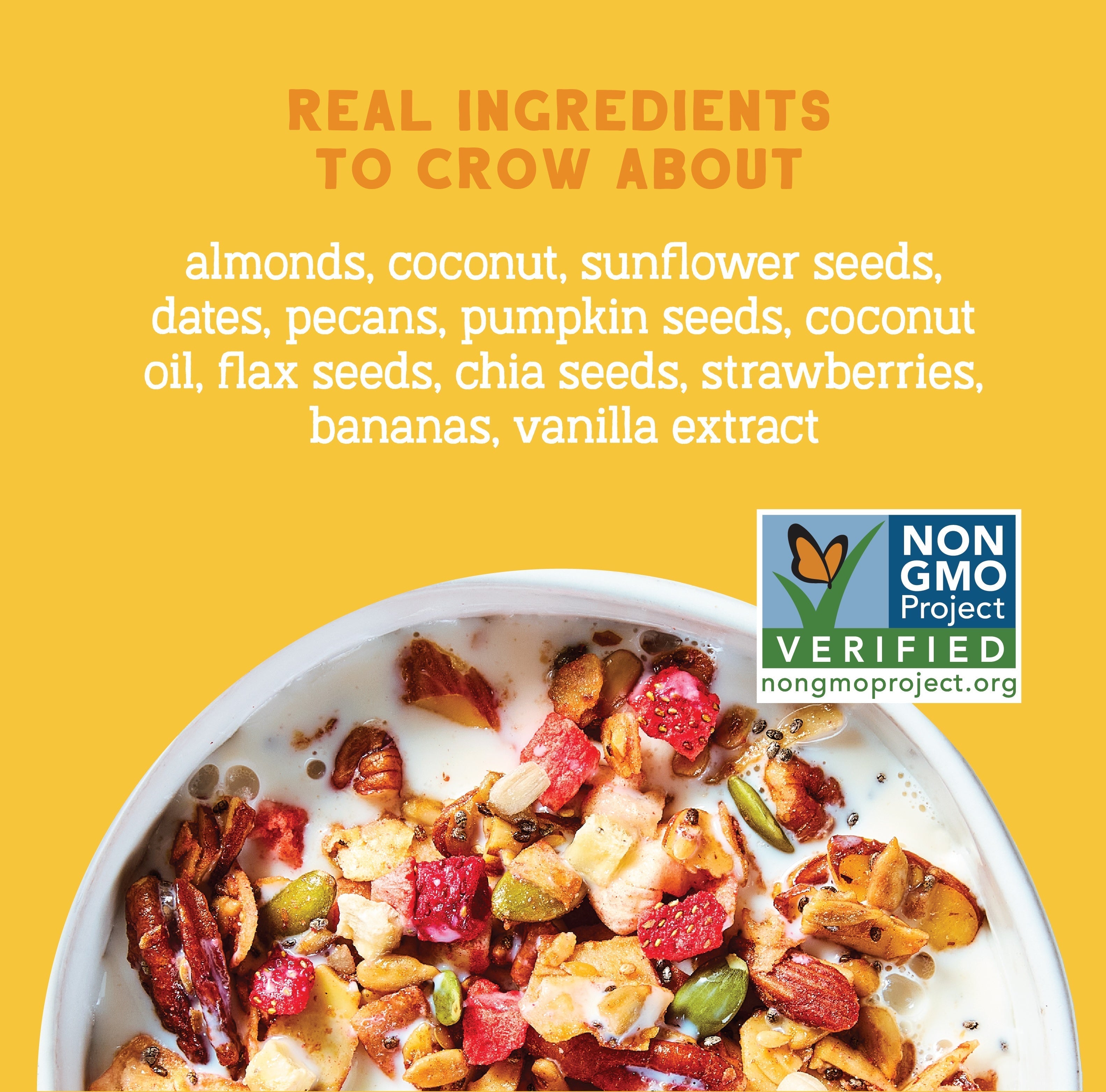 Rise & Shine Strawberry Banana Grain-Free Granola, 20oz