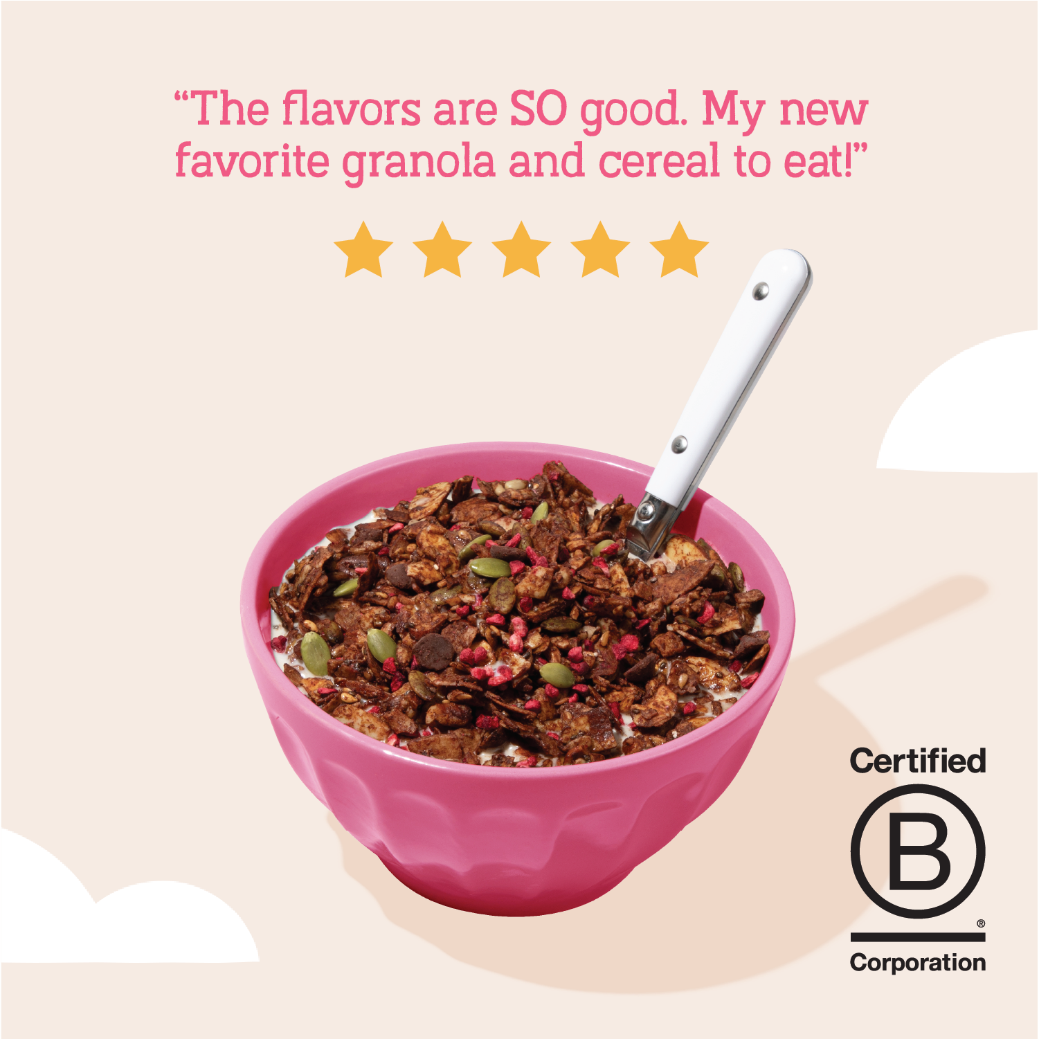 Day Dream Chocolate Raspberry Grain-Free Granola, 20oz