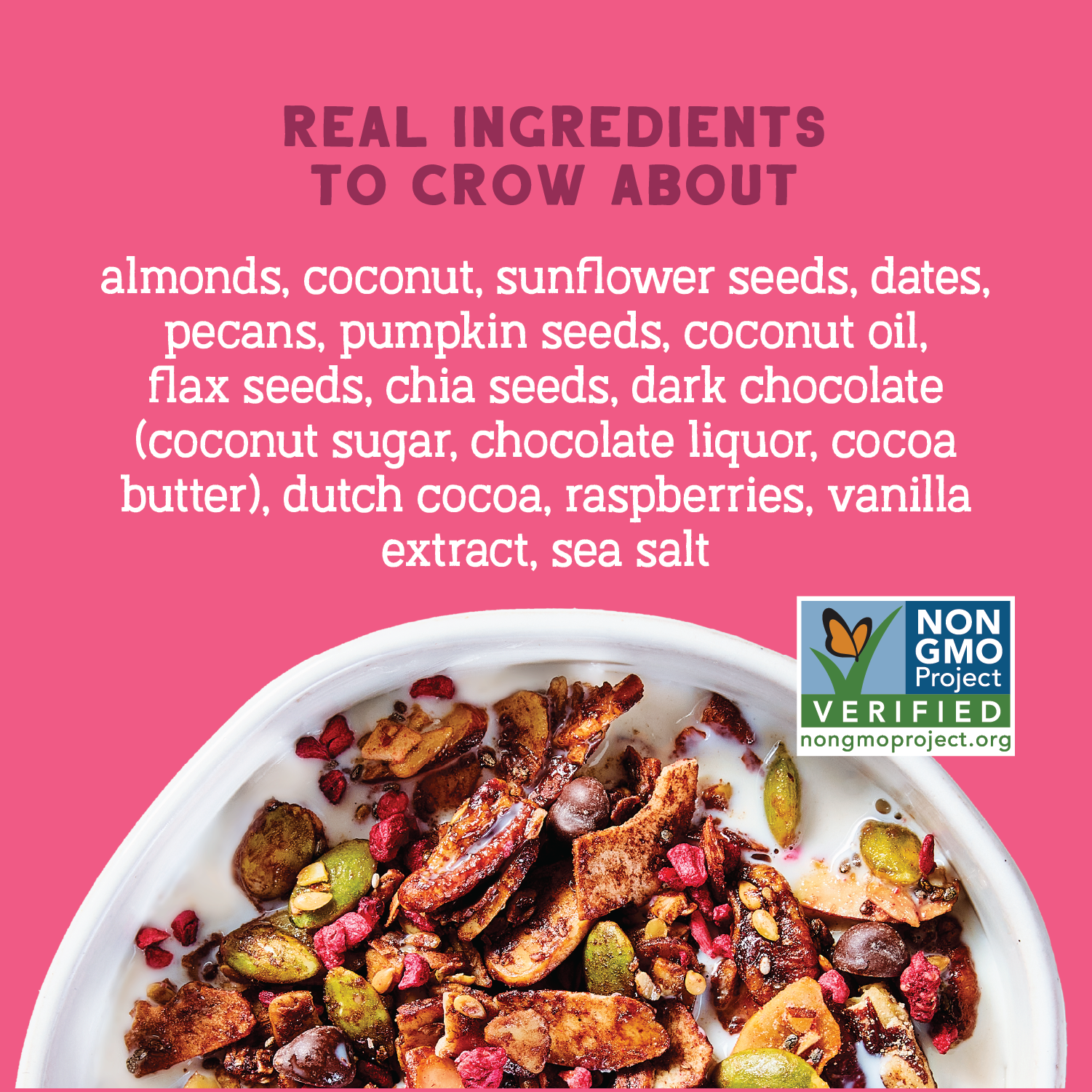 Day Dream Chocolate Raspberry Grain-Free Granola, 20oz
